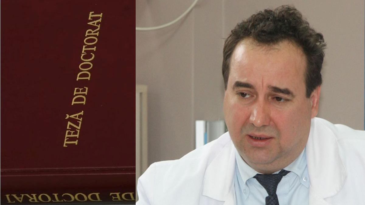 lucian eva iasi cnatdcu plagiat