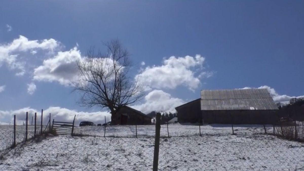 masacru stana bistrita nasaud ursoaica