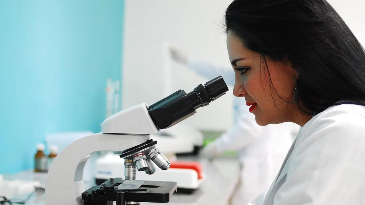 cercetatori romanca structura corp uman