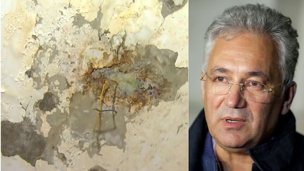 adriean videanu apartamente lux hassan murad glina primaria generala