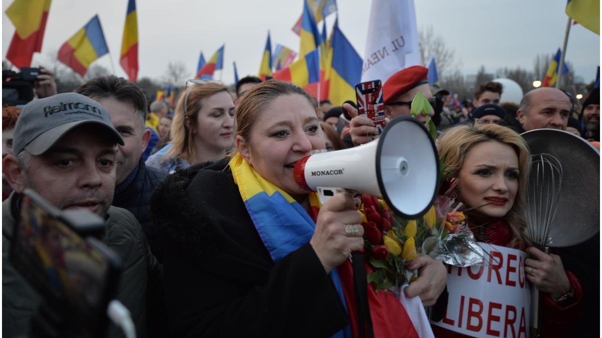 diana sosoaca protest facebook restrictii parlament