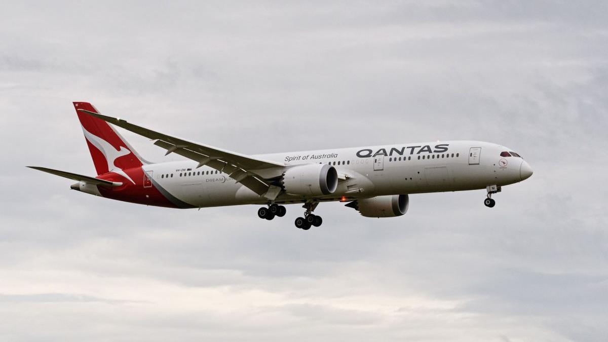 sef companie aeriena vaccinati avion