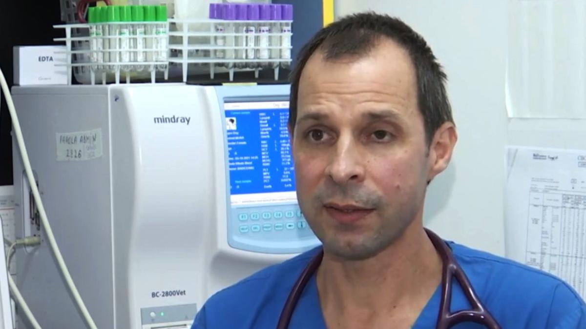 babesioza boala capusa tratament simptome masuri prevenire