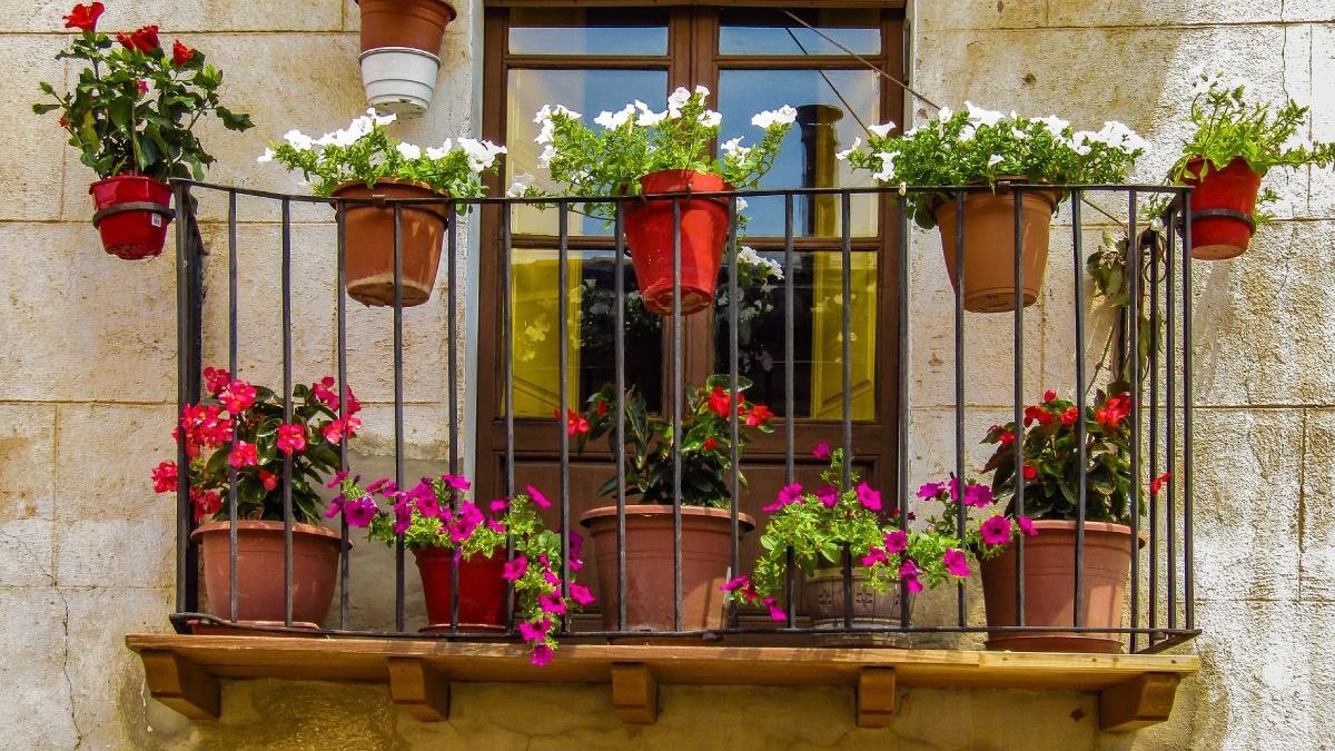 cea mai comoda metoda plante sanatoase