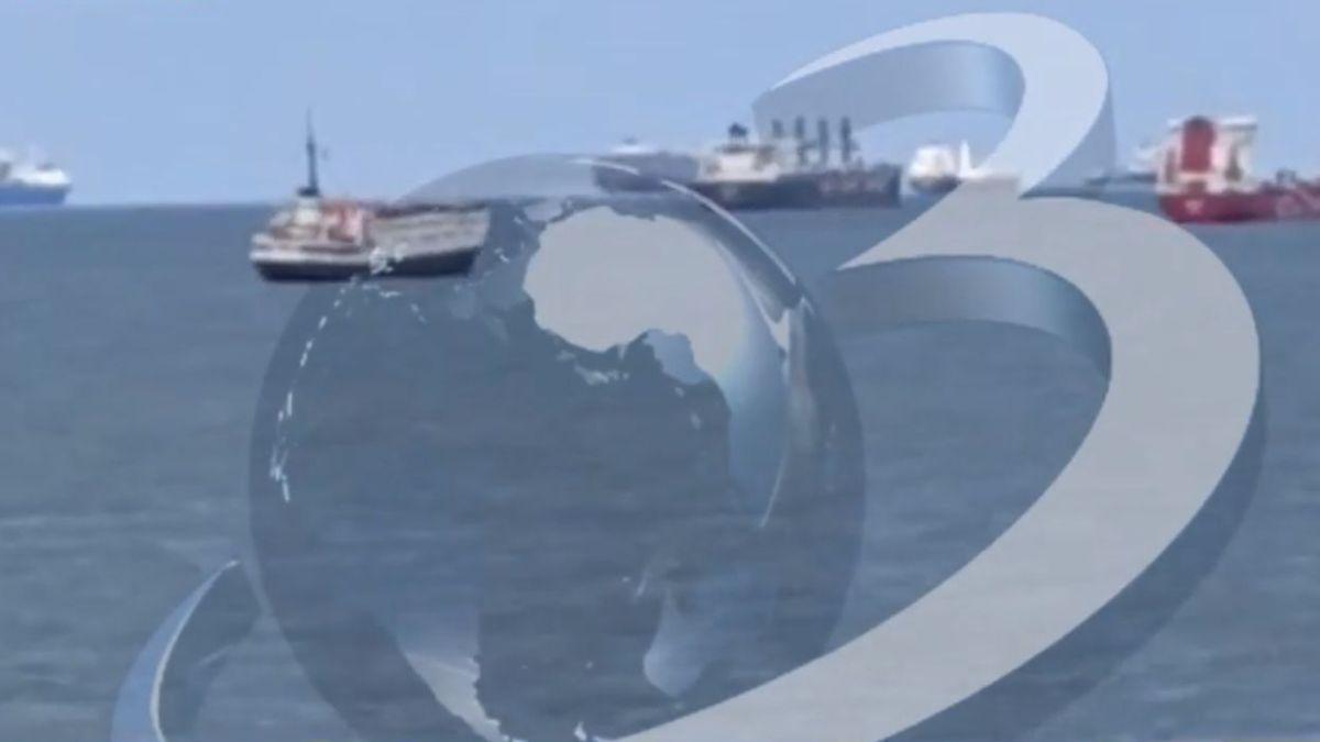 imagini vapoarele animale blocate canalul suez