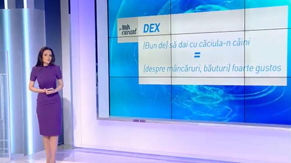 pe cuvant ana iorga a da cu caciula n caini