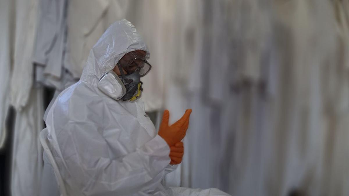 tulpina britanica decese romania