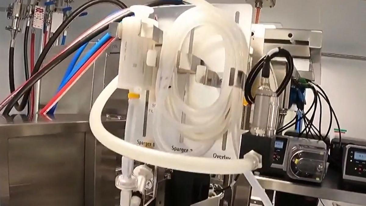 fabrica pfizer marburg germania