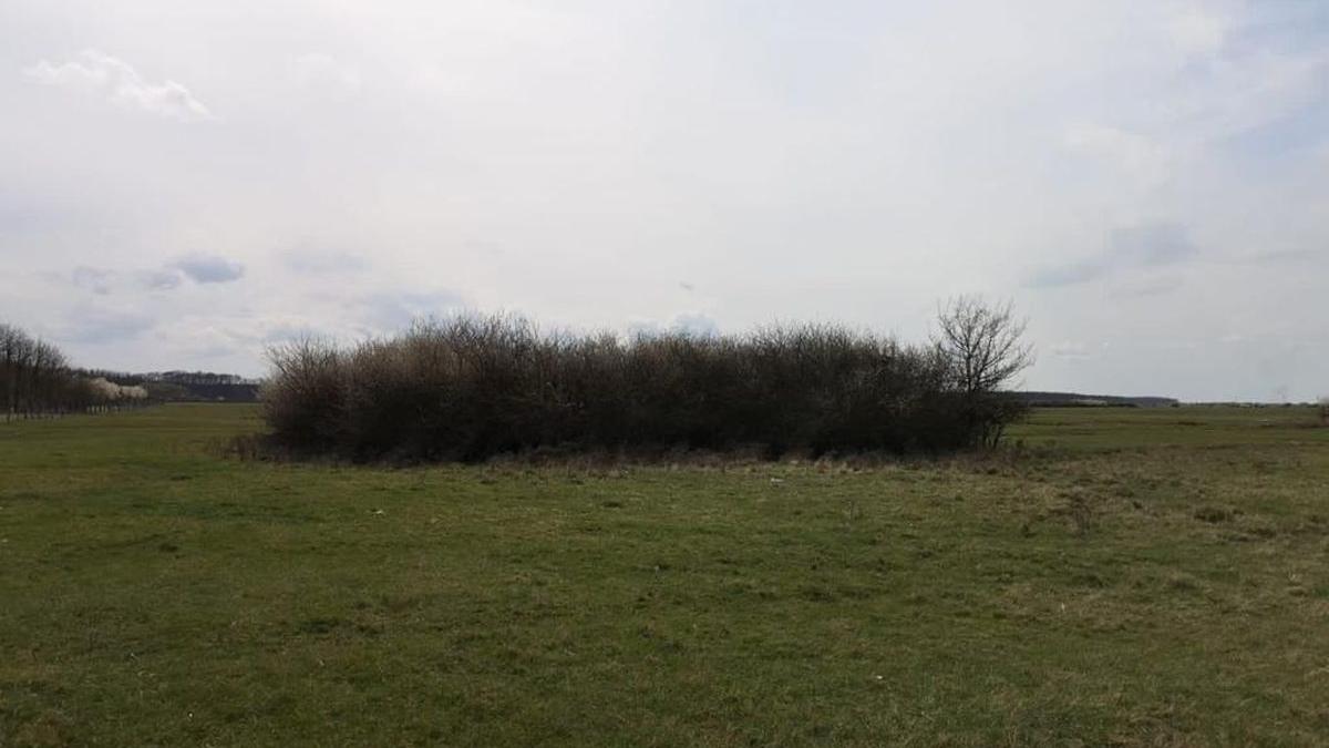 cadavru copil disparut mort