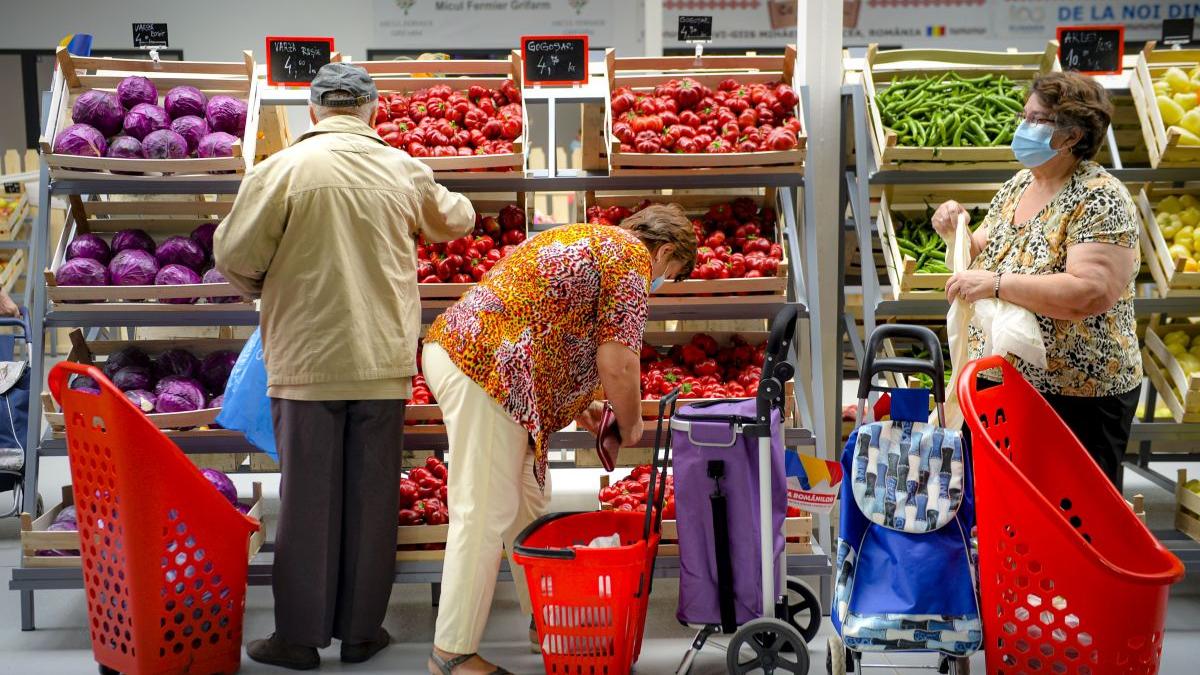 propunere capitala magazine cumpararuri alin stoica