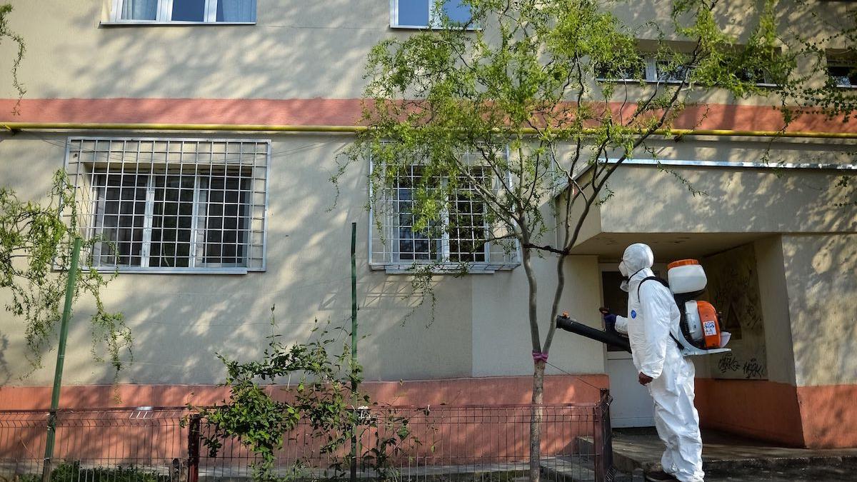 femeie gasita moarta casa vaccin pfizer