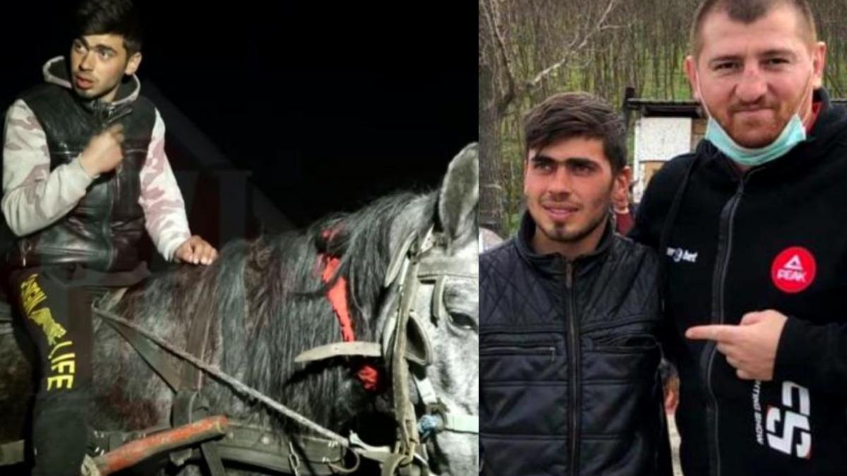 sergiu taticul din iasi maternitate cal casa