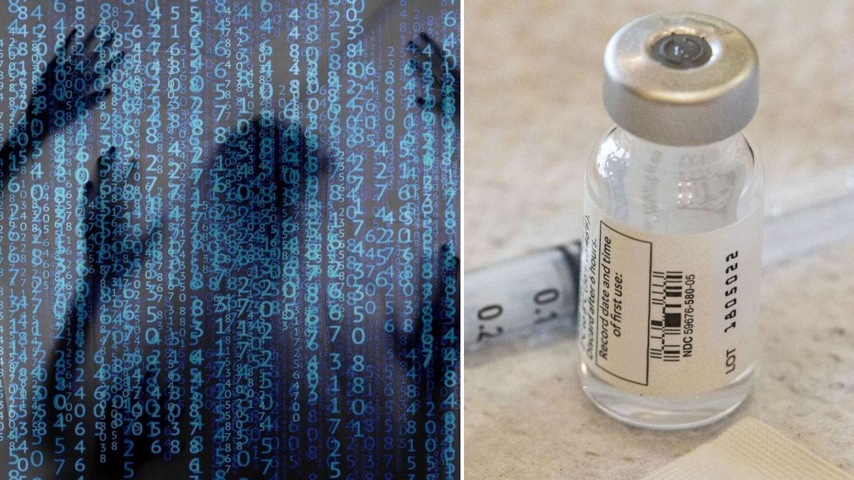 vaccinuri dark web infractori interpol sinofarm moderna pfizer covid