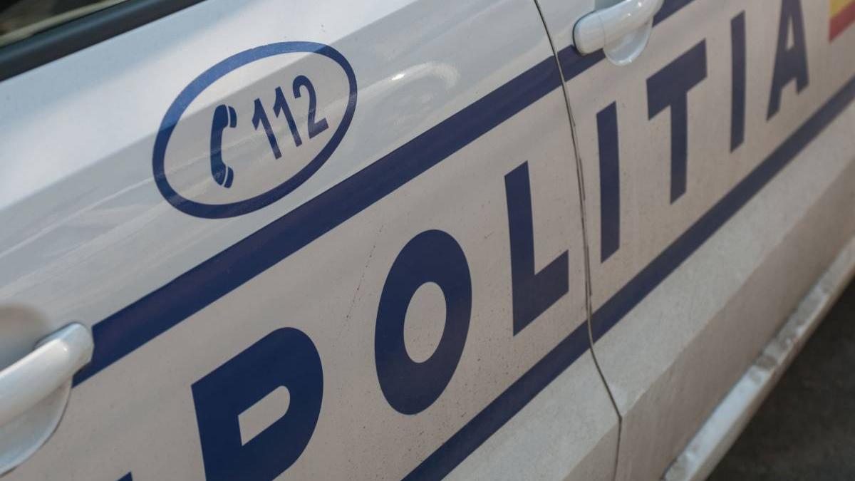 perchezitii firme de transport bucuresti vindeau teste false covid