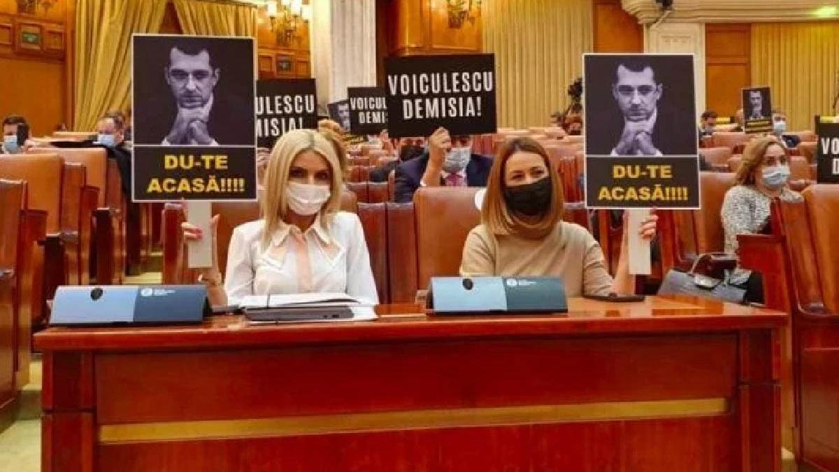 deputata laura vicol psd pacienti covid morti proteste spital victor babes foisor