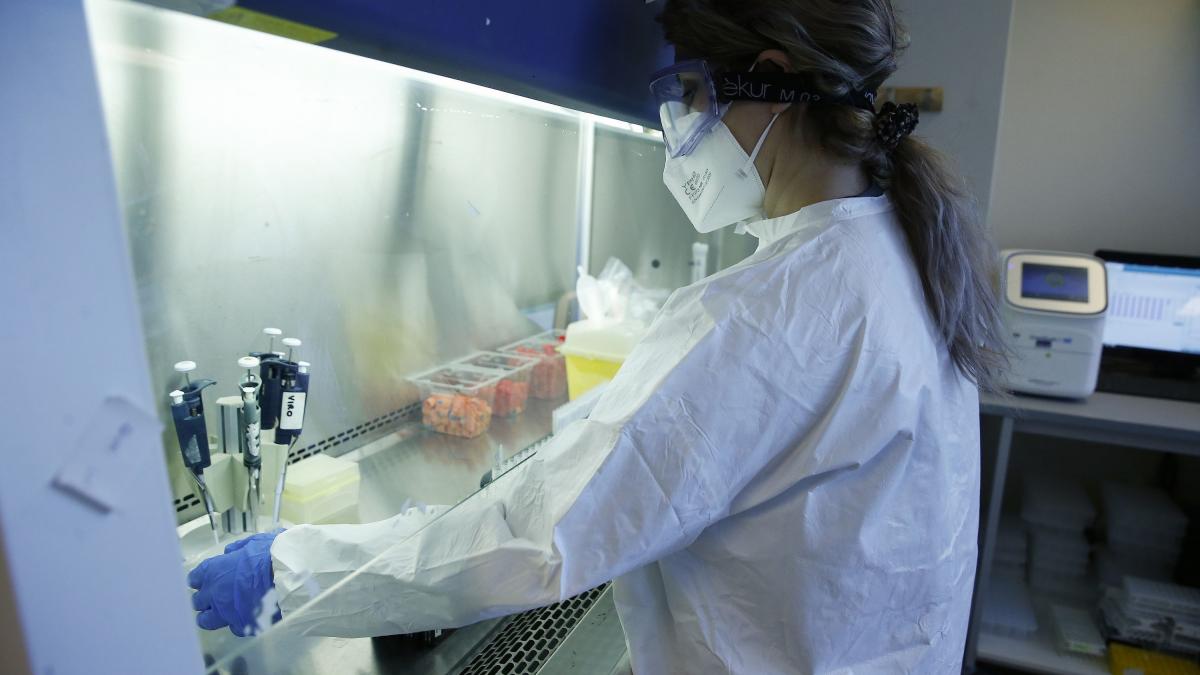 tulpina britanica covid 19 studii