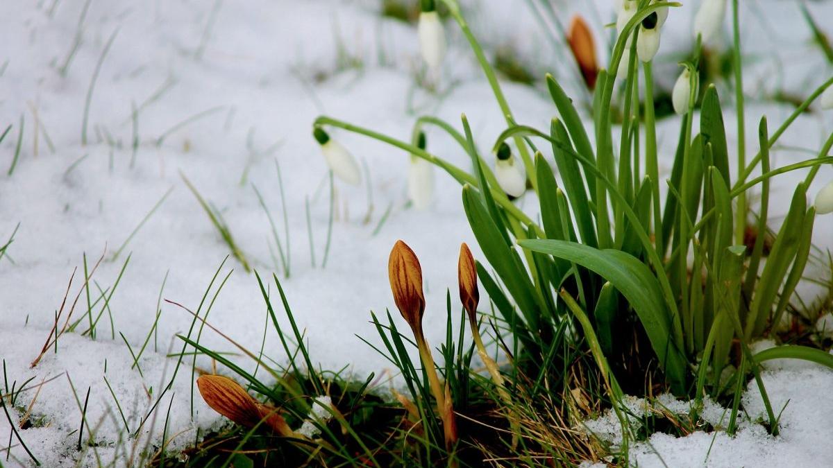 prognoza meteo vremea scadere brusca temperatura