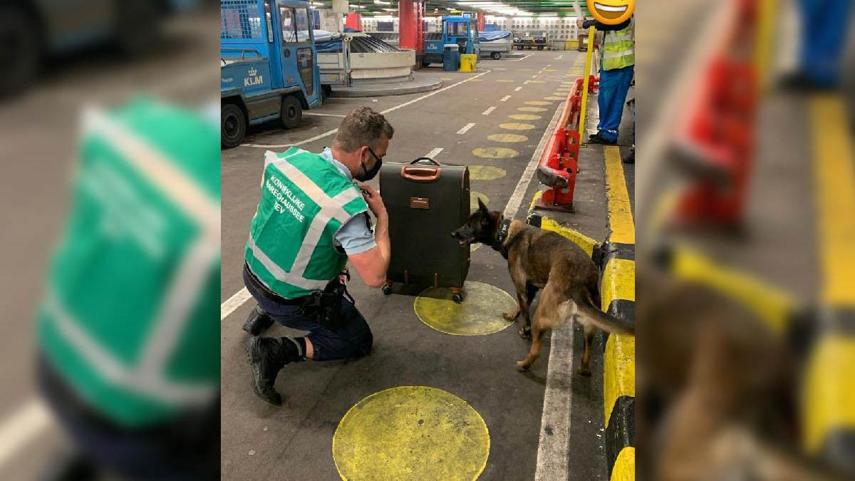 roman bomba aeroport amsterdam olanda