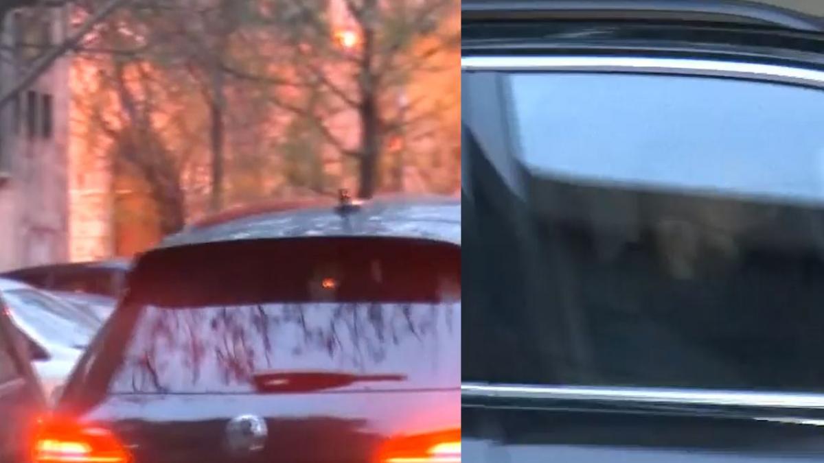 vlad voiculescu ministerul sanatatii