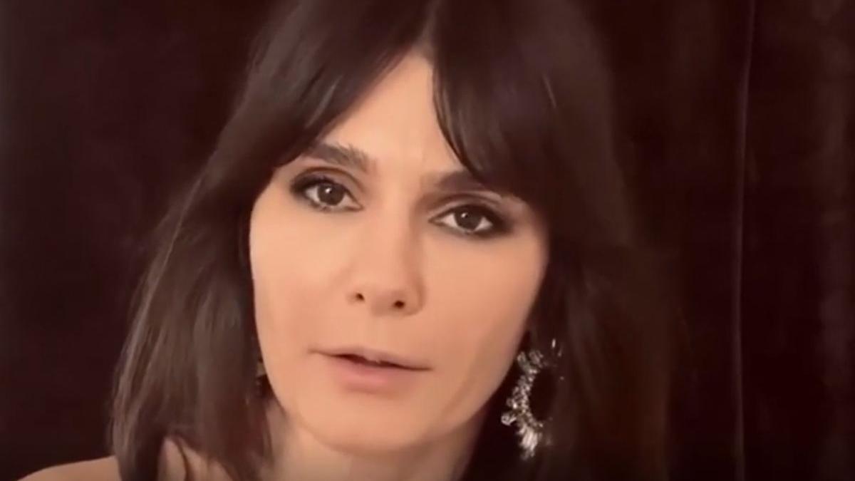 dana pudeanu criza politica romania