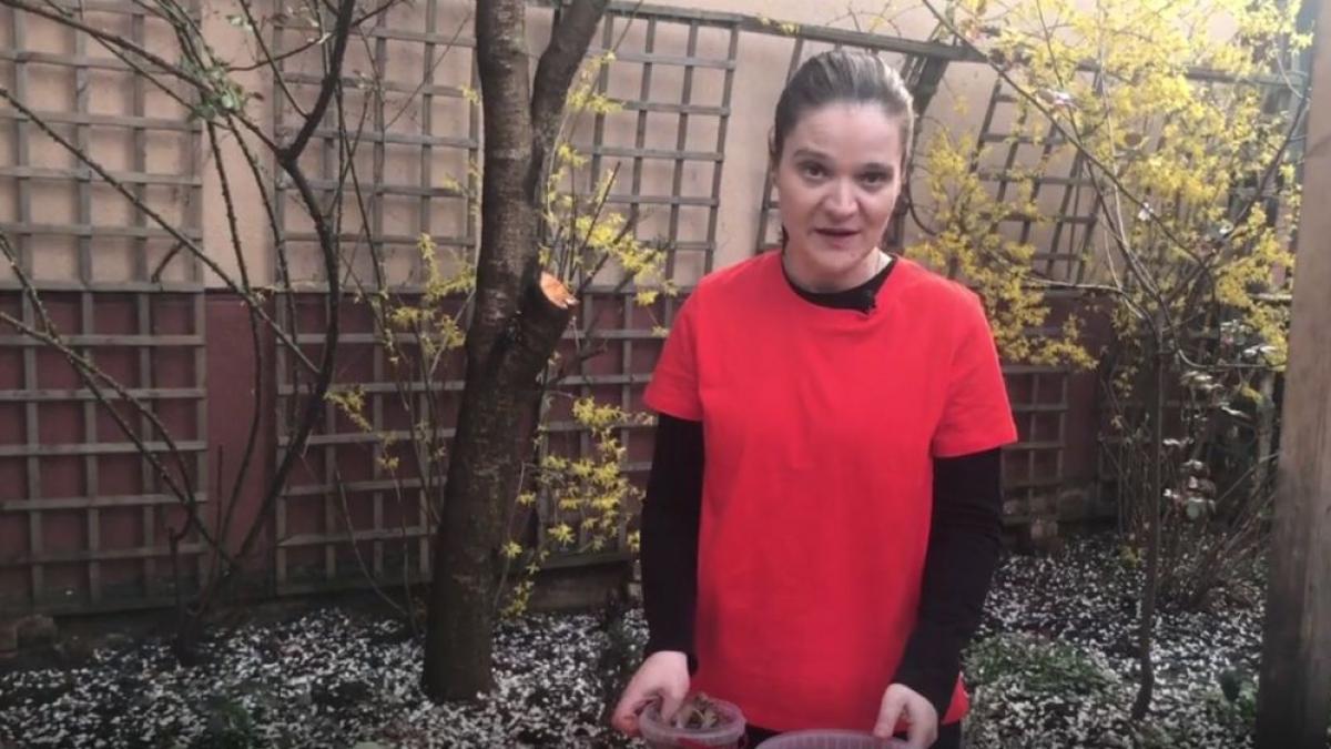 reteta minune plante coji de cartofi potasiu fosfor