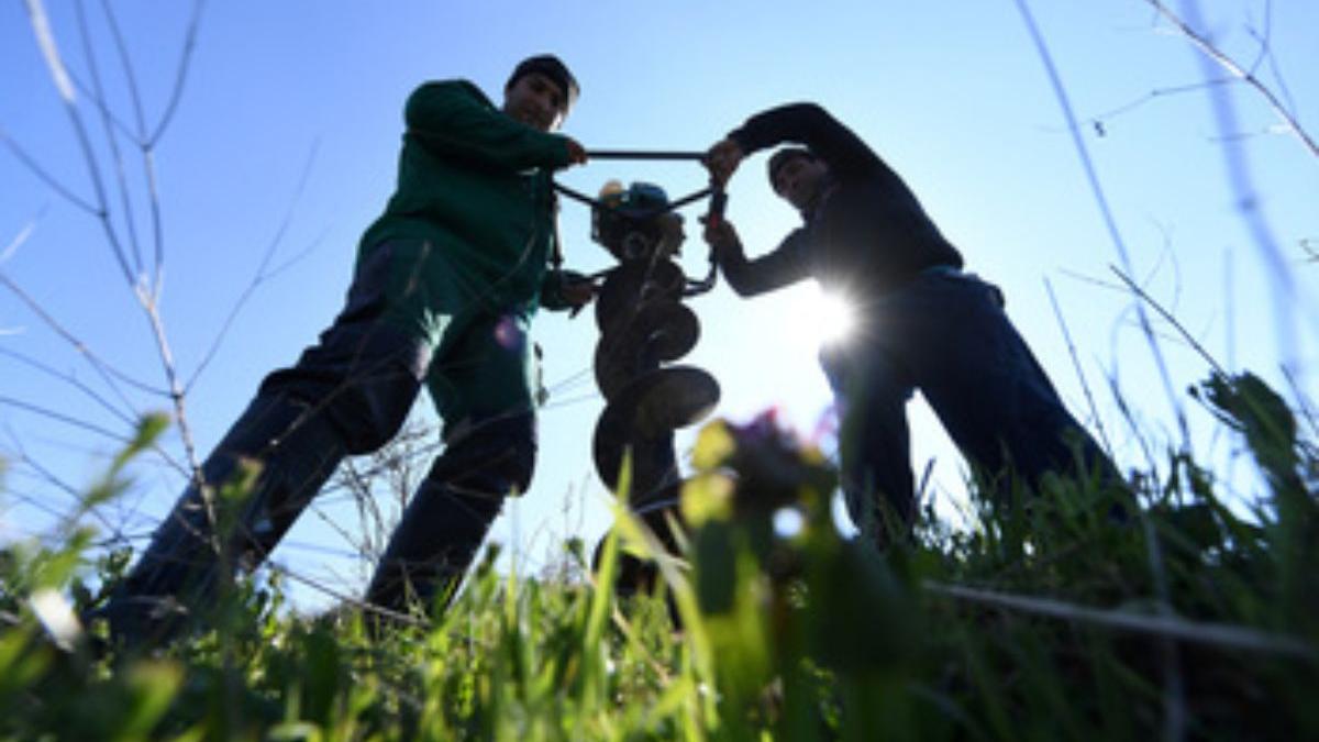 fosta groapa gunoi mogosoaia impadurita voluntari