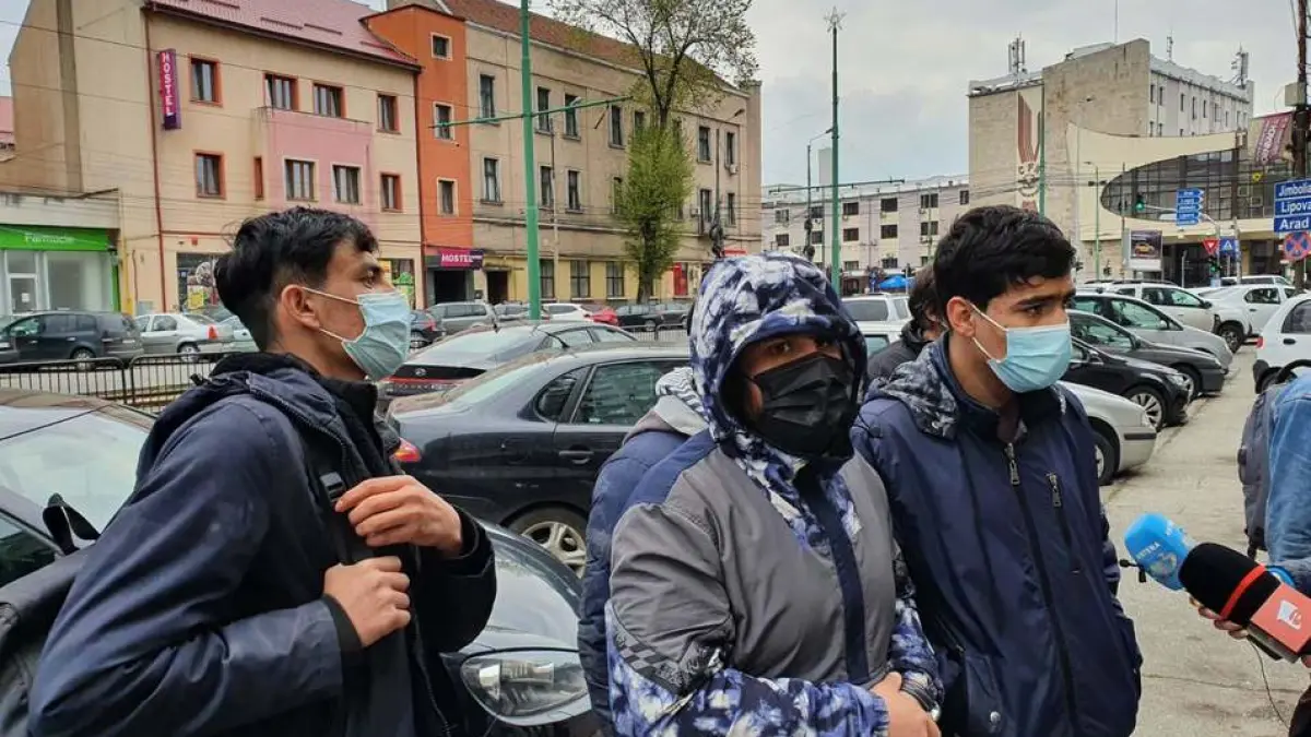 migranti bataie timisoara crima afgani politia razie