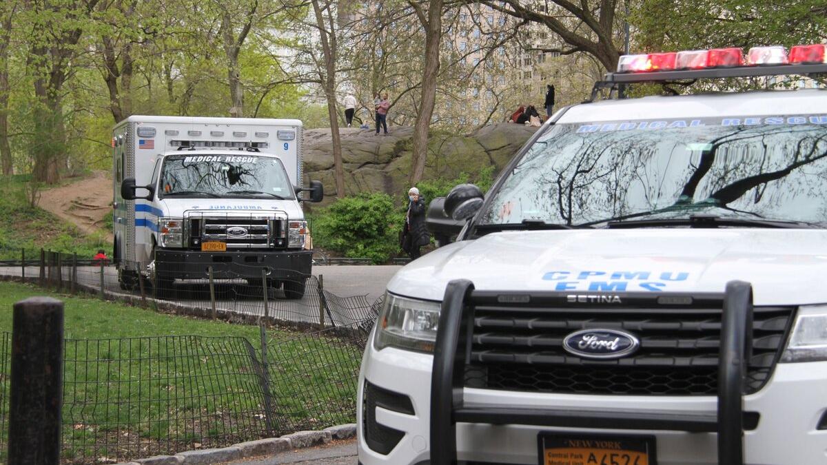 petrecere impuscaturi sua