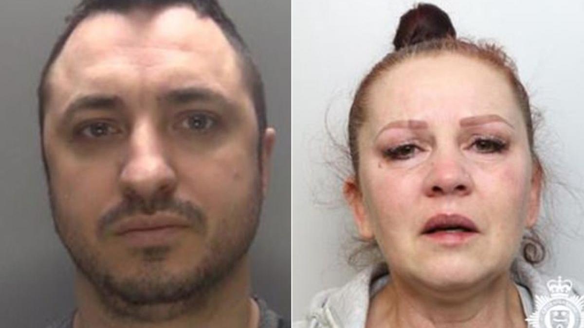 roman anglia parasit iubita furat bunuri amazon