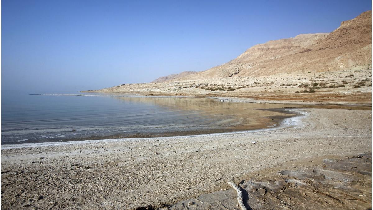 manuscrise marea moarta inteligenta artificiala