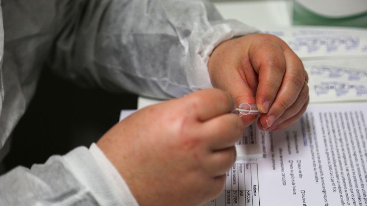 vindea internet teste pcr negative