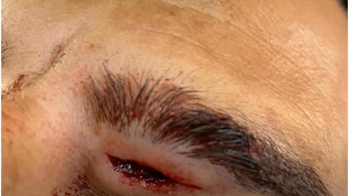 roman batut politisti italia