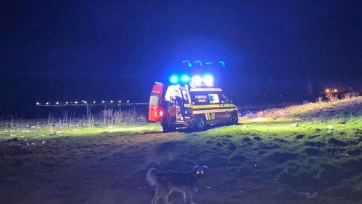 primarul bacaului anchetat chemat director concediu sa caute noaptea caine mort