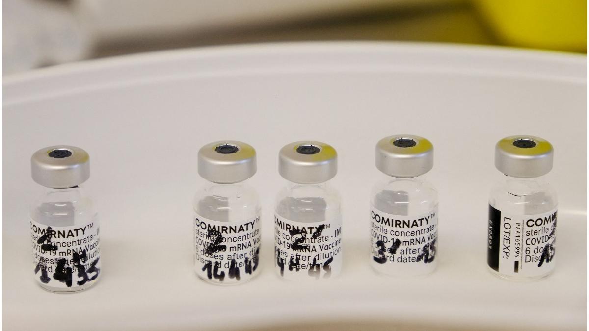 israel miocardita pfizer