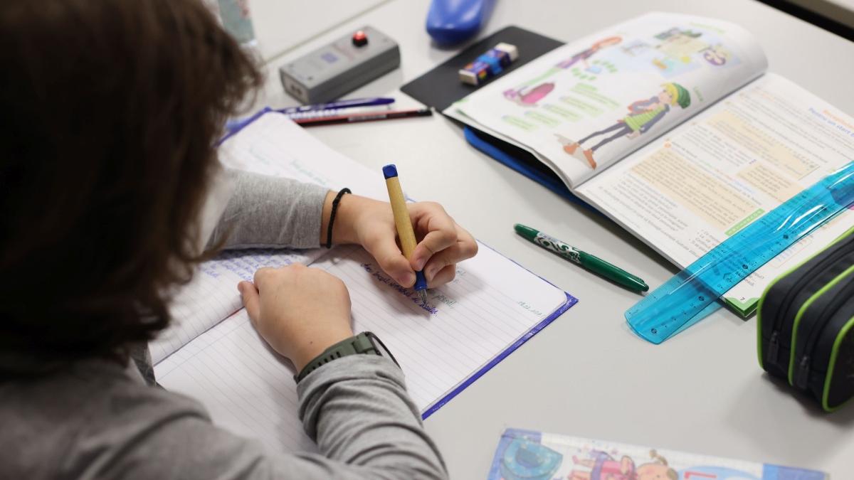 cnsu elevi scolile speciale clasele speciale scoala indiferent de scenariu