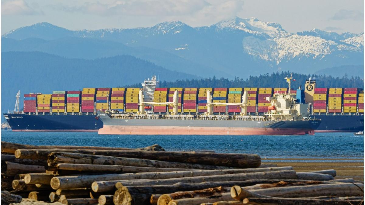 containere marfa pierdute mare