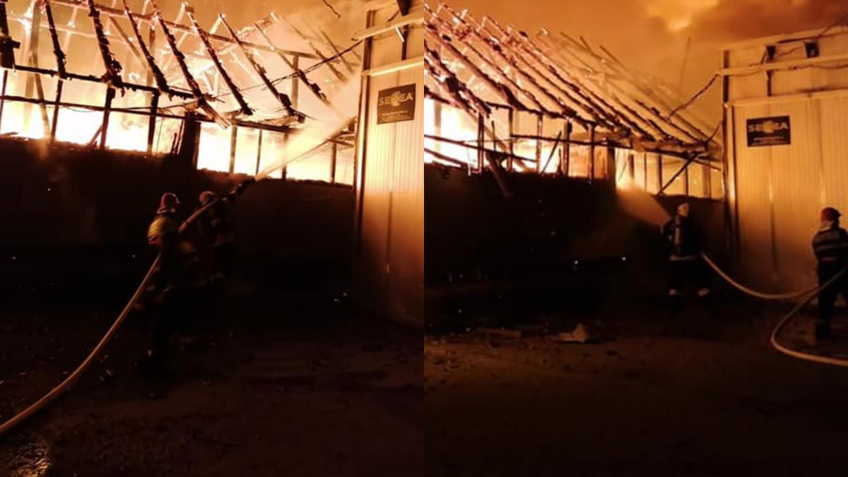 incendiu fabrica mobila reghin