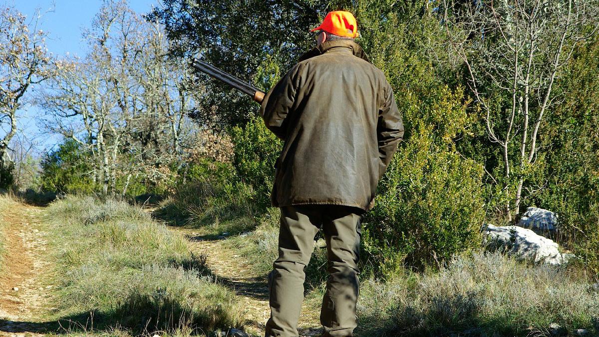 italian confundat sotia mistret impuscare