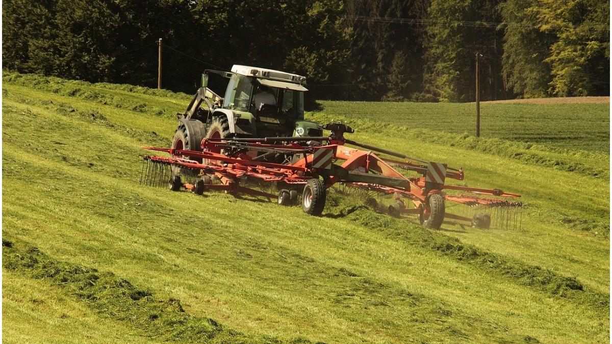 fermier muta piatra hotar franta