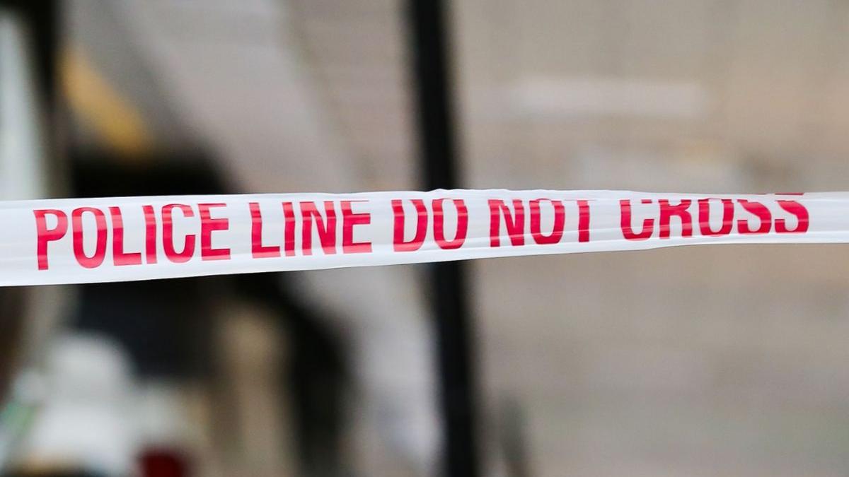 tanar ucis copii doua educatoare gradinita brazilia