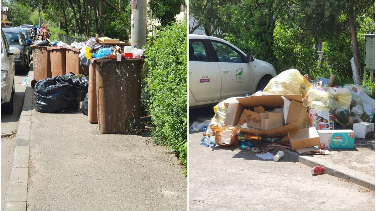 gunoaie ploiesti neridicate doua saptamani