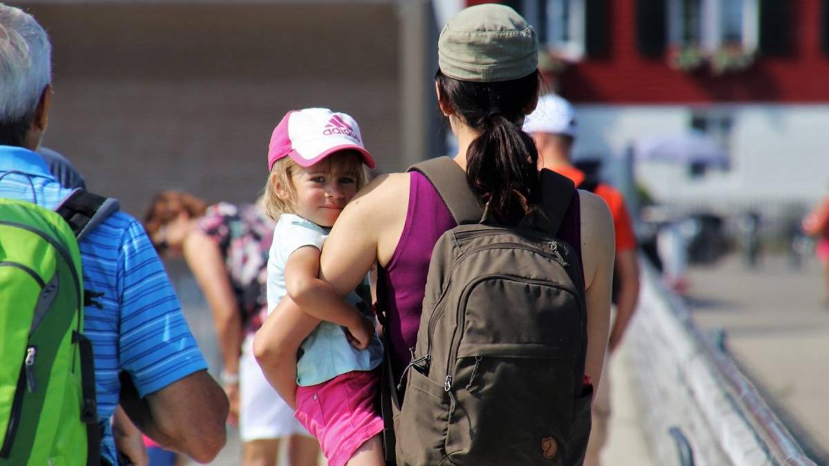 ministerul muncii tichete plata menajere bone gradinari