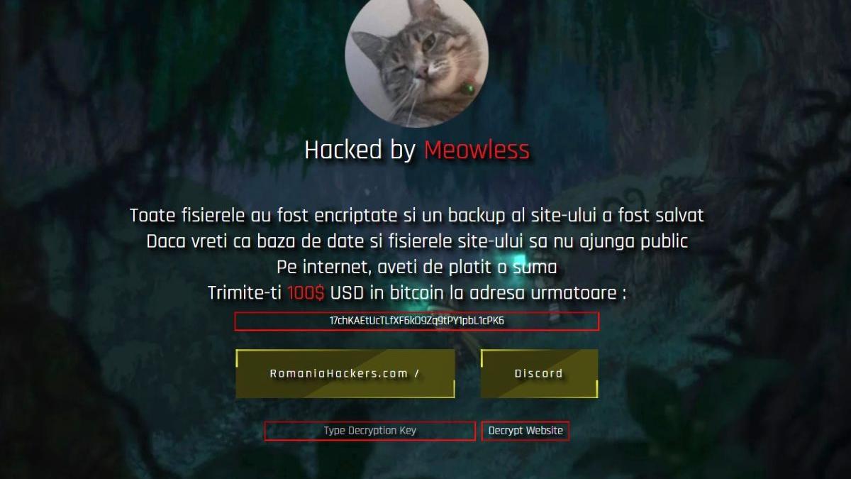 site consiliul judetean cluj spart hackeri meowless