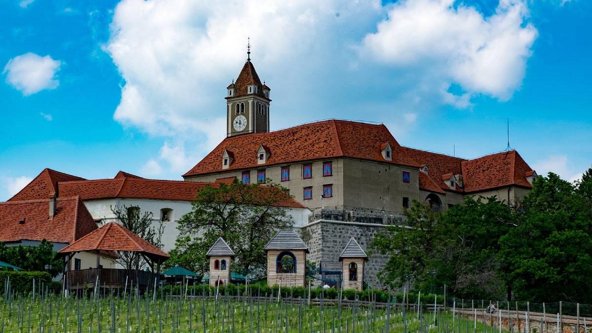 tripadvisor blocat recenzii castel print urs arthur