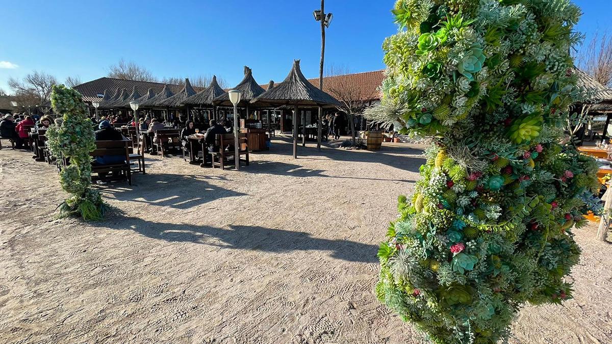 olimp cherhana litoral peste marea neagra