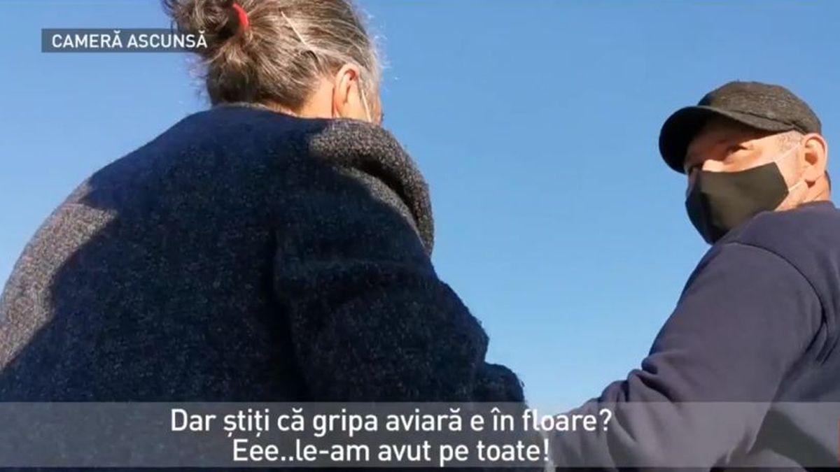 imagini camera ascunsa focar gripa aviara comert pui