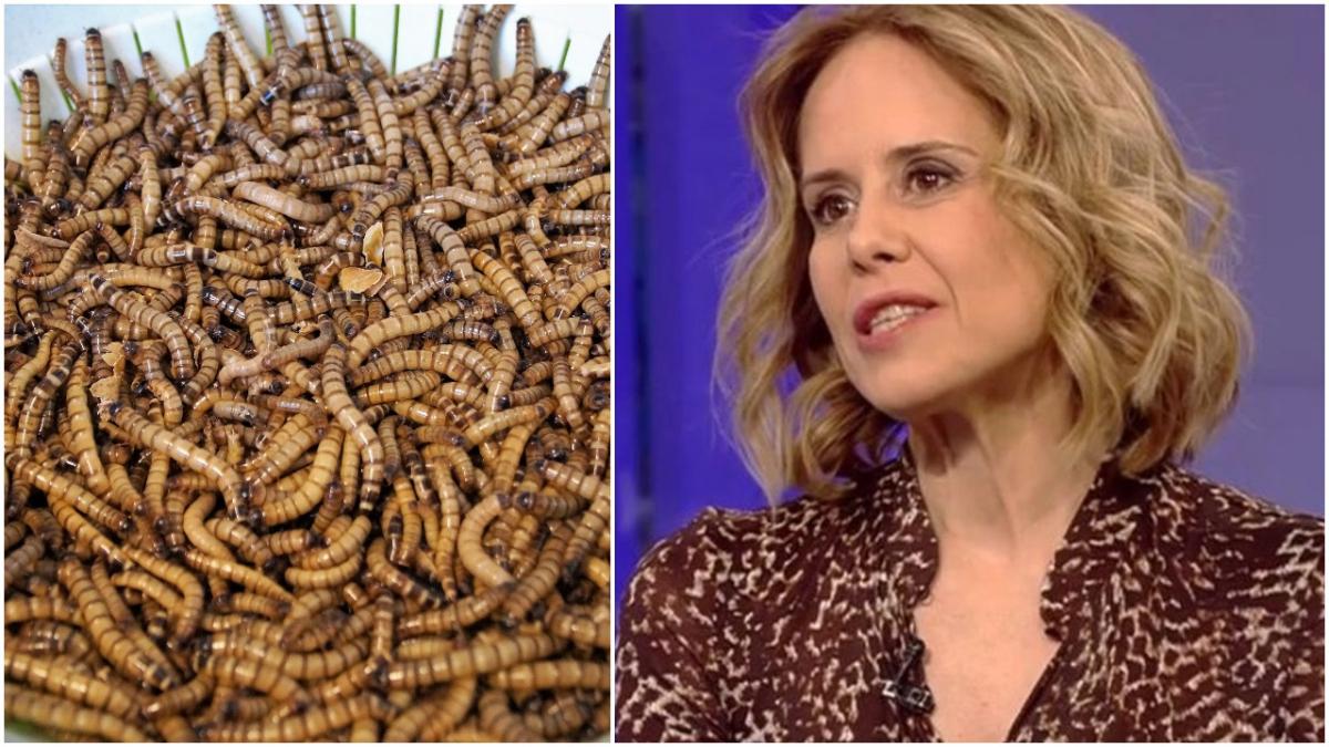 insecte viermi galbeni ue mihaela bilic medic nutritionist