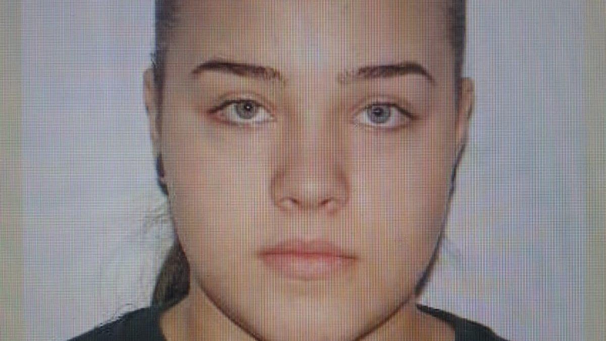 minora 15 ani hulpan arianna gabriela disparuta