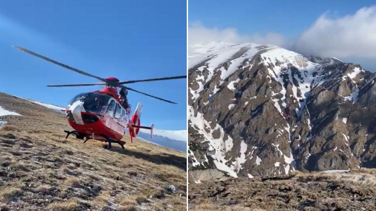 tanar ratacit poiana costilei sapat vizuina zapada supravietuit noapte
