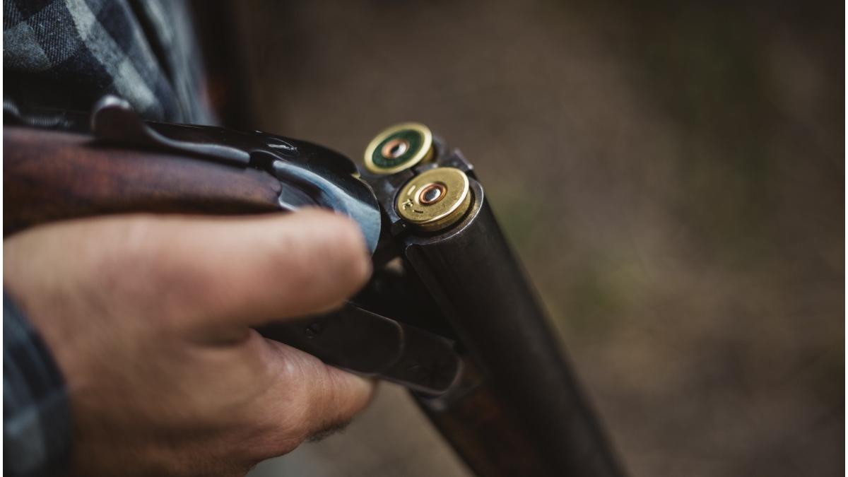 medicul alexei navalii gasit